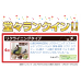 日本山善牌公司 原單 梳化沙發床 